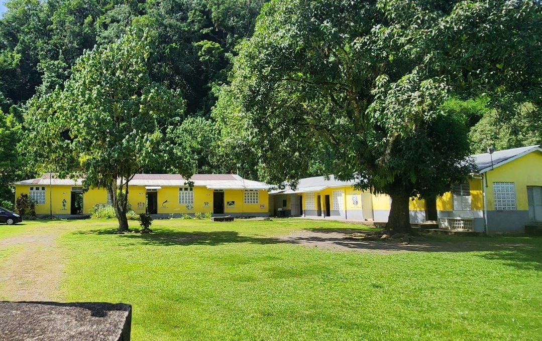 Bloomfield Primary workshop photo 1